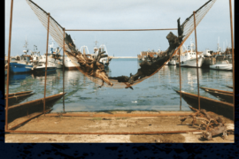 la Pesca - San Benedetto del Tronto (AP)